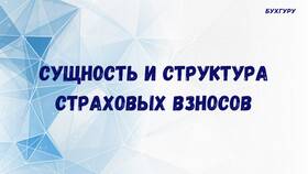 Что облагается страховыми взносами в 2025 году в Касторама