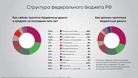 Что входит в структуру доходов бюджета в Касторама