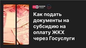 Как оформить гражданство РФ через Госуслуги в Касторама