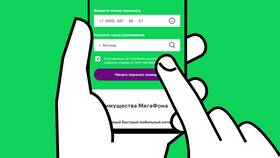 Как перевести номер с Билайн на Мегафон в Касторама