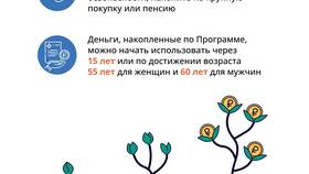 Как перевести пенсионные накопления в программу долгосрочных сбережений в Касторама