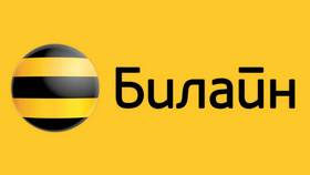 Как перезвонить на Билайн в Касторама