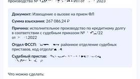 Как подать заявление судебным приставам через Госуслуги в Касторама