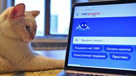 Как получить выписку ЕГРН через интернет в Касторама