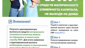 Как получить выписку из пенсионного счета в Касторама