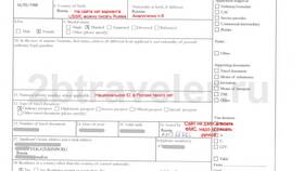 Как правильно заполнять заявление на визу в Касторама
