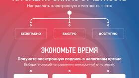 Как проходит процесс подачи налоговой декларации в Касторама