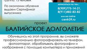 Как пройти автошколу в приложении Мобайл в Касторама