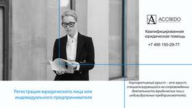 Как работать с юридическими лицами: руководство для предпринимателей в Касторама