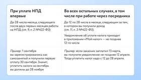 Как сдавать жилье как самозанятый в 2025 году в Касторама
