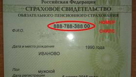 Как выглядит пенсионное страховое свидетельство в Касторама