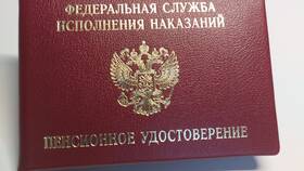 Как выглядит пенсионное удостоверение в 2024 году в Касторама