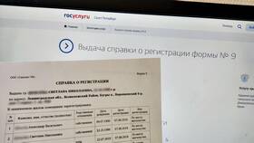 Как заказать справку формы 9 через Госуслуги в Касторама