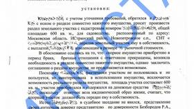 Как законно избежать раздела имущества в Касторама