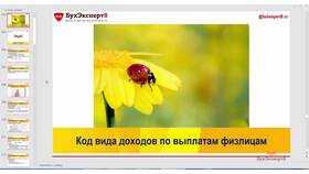 Код вида дохода 1: что это значит в Касторама
