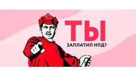 Налог 13%: из чего он состоит в Касторама