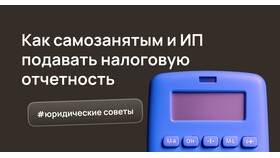 Отчетность для самозанятых: правила и особенности в Касторама
