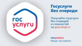 Почему Госуслуги пишут 
