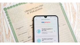 Почему не находится ИНН на Госуслугах в Касторама