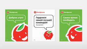 Почему Пятерочка лучше других магазинов в Касторама