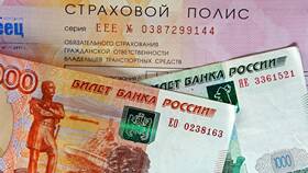 Штраф за езду без страховки в Касторама