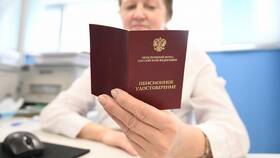 Страховая пенсия: что такое пенсионные баллы в Касторама