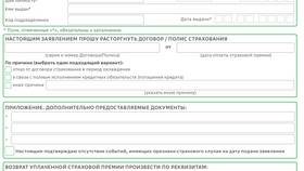 Страховка Сбер Премьер: что входит в пакет в Касторама