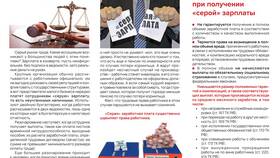 Заработная плата как основной вид дохода в Касторама