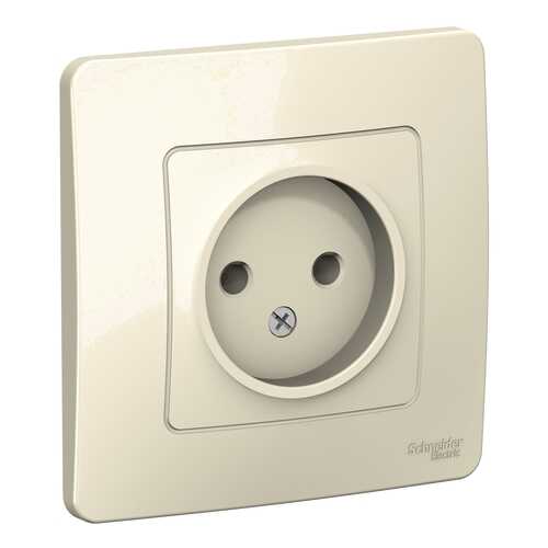 Розетка SCHNEIDER ELECTRIC BLNRS000012 Blanca в Касторама