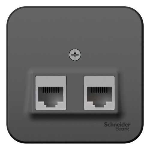 SE Blanca наруж Антрацит Розетка 2-ая компьютерная RJ45, кат.5E, изол. пластина в Касторама