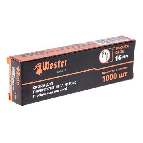 Скобы 826-017 для пневмостеплера WESTER NT5040 в Касторама