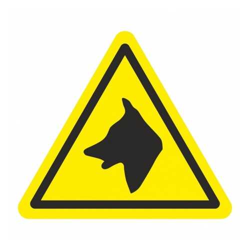 Знак W32 Осторожно. Злая собака 20х20 в Касторама